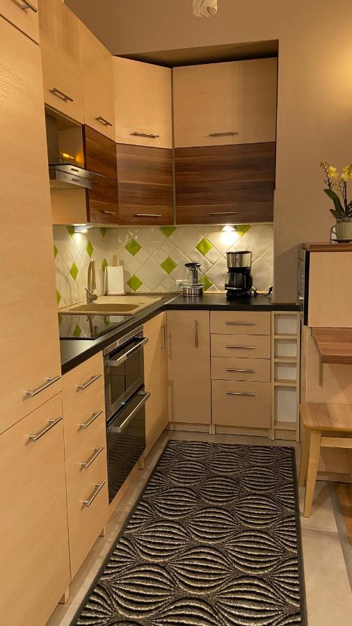 Lublinbnb - Exclusive Family Apartment ------ In The Heart Of Lublin -------------------------------- Bedroom & Living Room & Kitchen المظهر الخارجي الصورة